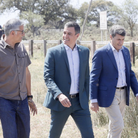 El presidente del Gobierno, Pedro Sánchez (c), junto al director Estación Biológica de Doñana, Eloy Revilla, y el delegado del gobierno en Andalucía, Pedro Fernández, este jueves durante la visita realizada al Parque Nacional de Doñana
