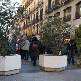 Grandes maceteros para la seguridad / EFE