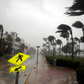 El viento del huracán golpea las palmeras en la calle Ocean Drive de Miami Beach (Florida).REUTERS/Carlos Barria