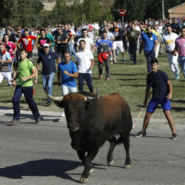 Toro de la Vega 2017 / EUROPA PRESS