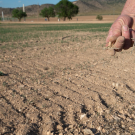 Un agricultor muestra la tierra seca, a 20 de abril de 2023, en Murcia, Región de Murcia.