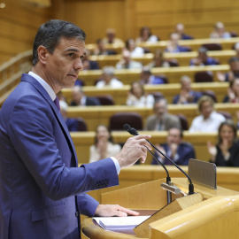 El presidente del Gobierno, Pedro Sánchez, en el pleno del Senado durante su comparecencia, la quinta monográfica de la legislatura. EFE/ Kiko Huesca