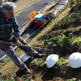 Hort urbà a Cabrera de Mar, de l'empresa Els Hortets. DAVID RODRÍGUEZ