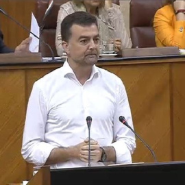 Antonio Maíllo, coordinador general de IULV-CA./ EUROPA PRESS