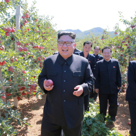 El dictador norcoreano Kim Jong Un durante una visita a una plantación de frutas. /REUTERS