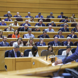 25/04/2023.- El presidente del Gobierno, Pedro Sánchez, en el pleno del Senado durante su comparecencia, la quinta monográfica de la legislatura, este martes en Madrid. EFE/ Kiko Huesca