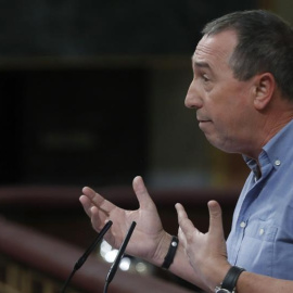 El portavoz parlamentario de Compromís, Joan Baldoví, durante su intervención en la sesión de la tarde de la segunda jornada del debate de investidura del candidato del PP, Mariano Rajoy, hoy en el Congreso. EFE/Chema Moya
