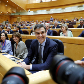 El presidente del Gobierno, Pedro Sánchez, antes de someterse a su primera sesión de control en el Pleno del Senado. EFE/Juan Carlos Hidalgo