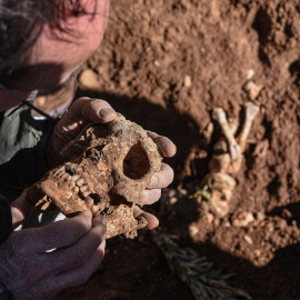 28/04/2022-Un estudio revela que la máxima población sostenible en Europa occidental pudo oscilar entre los 13.000 y los 25.000 individuos