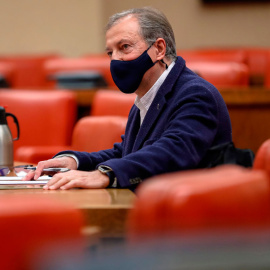 19/01/2021.- Francisco Lobatón comparece este martes ante la Comisión Consultiva de Nombramientos del Congreso de los Diputados para la elección de los miembros del Consejo de Administración y del presidente de la Corporación RTVE. EFE/Emil