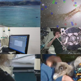 La Ciencia en vídeos / Del 11 al 15 de mayo de 2015