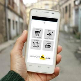 AtrapaelTigre ahora es Mosquito Alert: una plataforma ciudadana para investigar y controlar mosquitos transmisores de enfermedades globales.