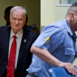 Mladic, en el tribunal que le juzgaba en La Haya este miércoles. REUTERS/Peter Dejong