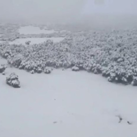 Público al Día - 5 de febrero de 2018