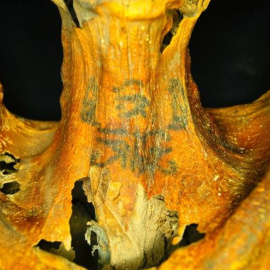 Los tatuajes de una momia egipcia dejan estupefactos a los expertos. /ANNE AUSTIN