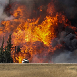Las llamas junto a una carretera en las inmediaciones de Fort McMurray. - REUTERS