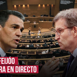 Bronca en el Senado entre Sánchez y Feijóo a cuenta de ETA y las listas de EH Bildu