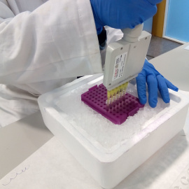 Laboratorio del  Institut Botànic de Barcelona