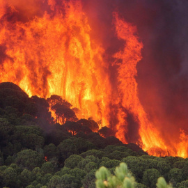 Efectivos del Plan Infoca trabajan en la extinción de un incendio declarado esta tarde en el término municipal de Nerva (Huelva). EFE/Julián Pérez