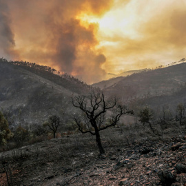 El incendio en la comarca de Monchique. EFE