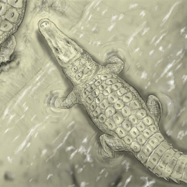 Lohuecosuchus (izquierda) y Agaresuchus (derecha) / Carlos de Miguel