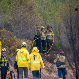 Varios bomberos trabajan en un incendio en Sant Pere de Ribes, a 21 de junio de 2022, en Sant Pere de Ribes, Barcelona, Cataluña (España).