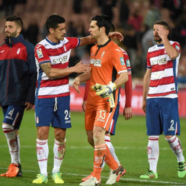 Andrés Fernández, tras un partido del Granada. EFE