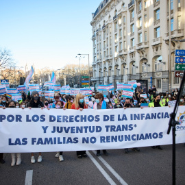 Concentración por los Derechos Humanos de la Infancia y Juventud Trans, frente al Congreso de los Diputados, a 29 de enero 2022, en Madrid.