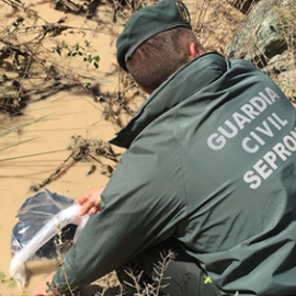 Agente del Seprona - EFE