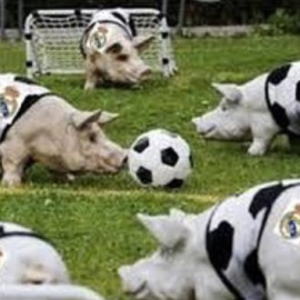 Fotografía publicada por Stoichkov en Instagram.