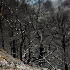El incendio en Beneixama. EFE/ Morell