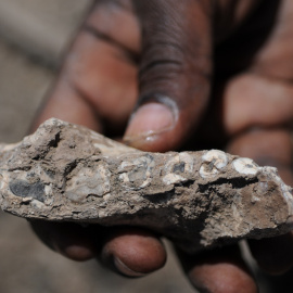 Parte de la mandíbula de Australopithecus deyiremeda.