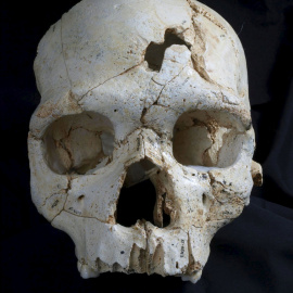 El cráneo prehistórico hallado. REUTERS