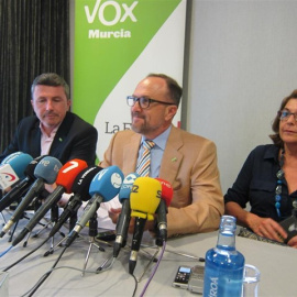 El secretario general del grupo de VOX en la Asamblea Regional y negociador del partido, Luis Gestoso, en la rueda de prensa. Europa Press