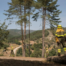 Bomberos forestales trabajan en las tareas de extinción del incendio en el parque natural de O Invernadoiro, que permanece activo, en el municipio ourensano de Vilariño de Conso - EFE