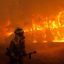 Un bombero, en uno de los incendios que arrasó Galicia el pasado octubre. EFE