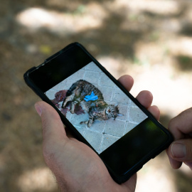 Un vecino muestra una foto del último gato que ha aparecido muerto en una acera.