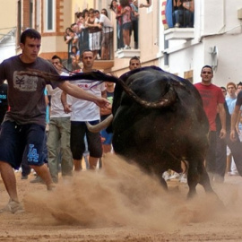 El correbous es una fiesta que se realiza en muchos pueblos de la Comunidad Valenciana - Archivo
