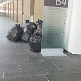 Bolsas en la Conselleria d'Agricultura de la Generalitat Valenciana. / PÚBLICO