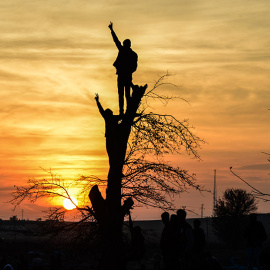 Varios kurdos hacen la señal de la victoria subidos a un árbol, durante una manifestación cerca de la frontera con Sitia. // ILYAS AKENGIN (AFP)