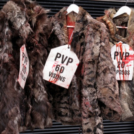 Imagen de una protesta que llevó a cabo Equanimal, una asociación en defensa de los animales. | Equanimal