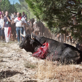 Fotografía de la Matanza de "Afligido" en el torneo del "Toro de la Vega"./ Jon Amad / Igualdad Animal