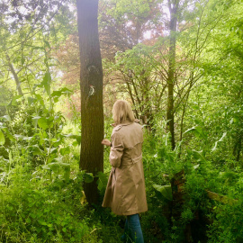 Una persona contempla la naturaleza.