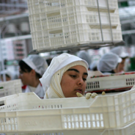 Una mujer trabaja en la clasificación de la fresa en una cooperativa onubense. - LAURA LEÓN