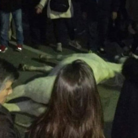 El caballo muerto en Terrassa, fotografiado por uno de los asistentes, que posteriormente ha subido la foto a Twitter.