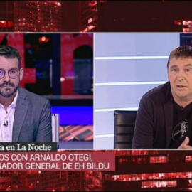 Otegi durante la entrevista en el Canal 24 Horas de RTVE.