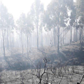 Incendio forestal en Ceuta / EUROPA PRESS