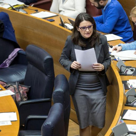 La vicepresidenta y consellera de Igualdad y Políticas Inclusivas, Mónica Oltra. - EFE