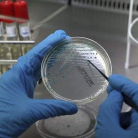 Francia acepta finalmente exportar a España el esperma de un hombre fallecido para su viuda. EFE