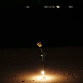 Una rosa iluminada con velas en la playa en la ceremonia de recuerdo de las víctimas del tsunami, en Ban Nam Khem, Tailandia. REUTERS/Athit Perawongmetha